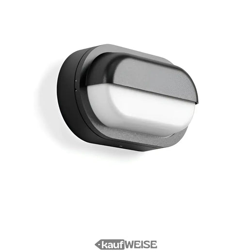 Applique et plafonnier LED ovale RZB Alu-Lux | 582065.0031.1