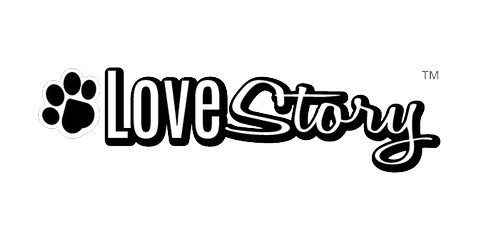 Love Story